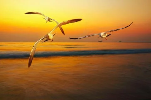 Twilight Stock Photos