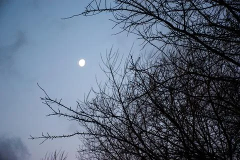 Twilight Stock Photos