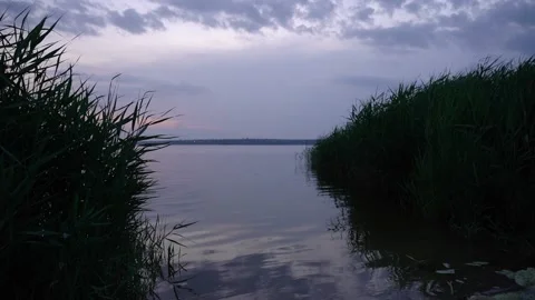 Twilight on the river, beautiful gray sky reflected in water and swaying reeds Stockbeeldmateriaal 158383939