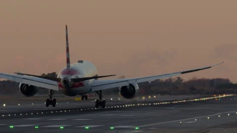 Twilight runway airplane touchdown Video stock 273781210