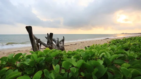 Twilight scene on the beach Stock Footage 47861269