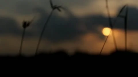 Twilight Scene - Set 1 Stockbeeldmateriaal 11629084