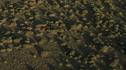 Twilight Scrubland Texture Long Shadows Forward Diagonal Aerial 4K HLG Stock Footage 343798458