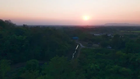 Twilight Serenity in the Forest Video stock 301634312