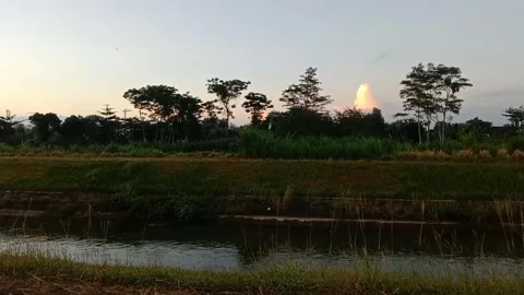 The twilight sky adorns the tranquil rice fields. Stock Footage 335697386