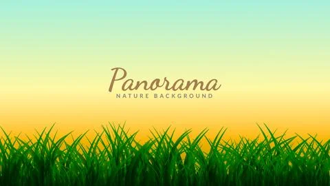 Twilight sky behind the grassy fields. Stock Illustration