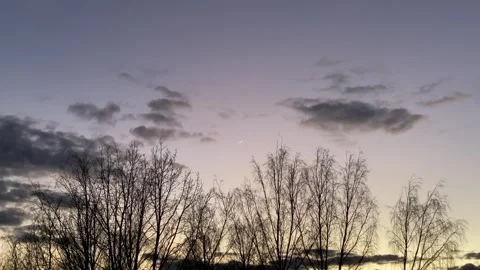Twilight Sky with Crescent Moon and Tree Silhouettes 動画素材 331462902