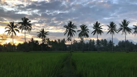 Twilight sky Stock Footage 227970204