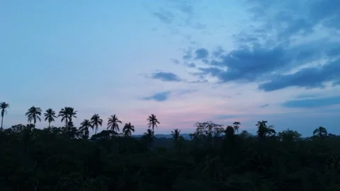Twilight sky glows pink and blue. Aerial view ideal for nature and travel Stock Footage 337260500