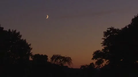Twilight Sky with Half Moon over the trees Stock Footage 314777007