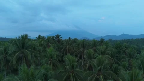 Twilight sky with low clouds frames distant Mayon Volcano. Aerial footage Stock Footage 337260401