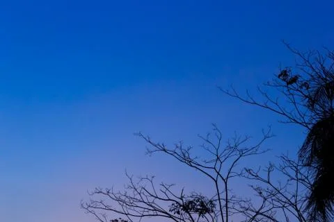 Twilight sky Foto stock