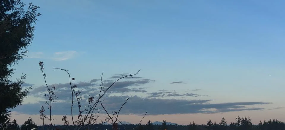 Twilight sky Stock Photos