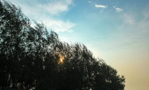 Twilight sky Stock Photos