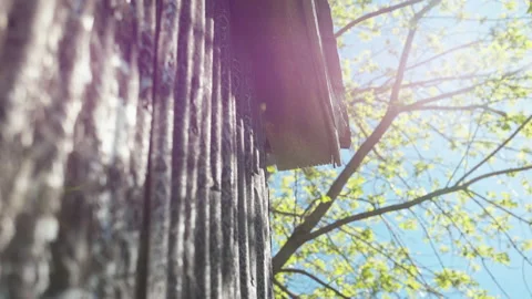 Twilight on soffit of old barn covered with corrugated iron sheet and dried tar 스톡 동영상 130885839