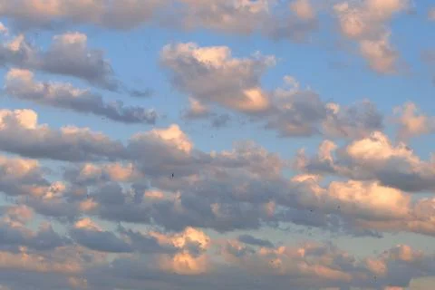Twilight sunset sky, background with multicolored clouds. And small birds fly Stock Photos