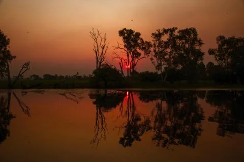 Twilight sunset at the swamp at the outback in Northern Australia  wallpaper Stock Photos