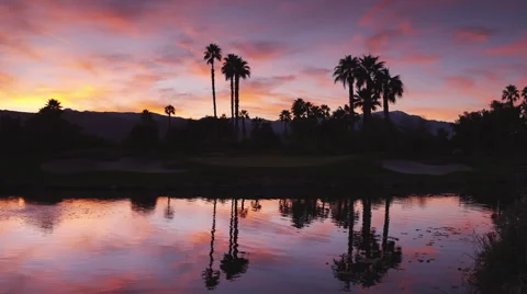 Twilight Time Lapse Shot of a Grove of Palm Trees Seen from Across a Pond Stock Footage 66514784
