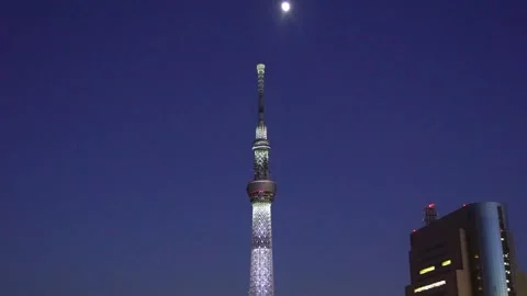 Twilight Tokyo Skytree and Sumida River Bridge Illuminations with the Moon Video stock 333183033