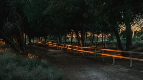 Twilight Trail Stock Photos