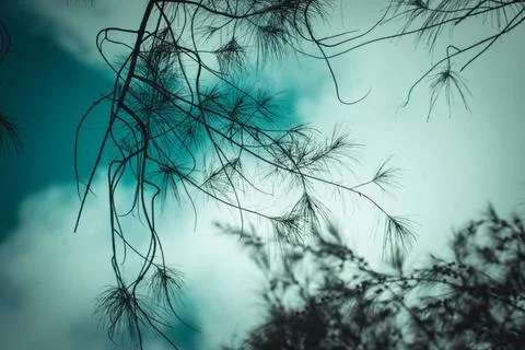 Twilight Tranquility Foto stock