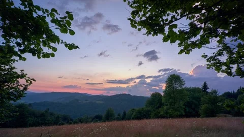 Twilight view of illuminated trees blowing in the wind in cloudy day, summer Stock Footage 275582262