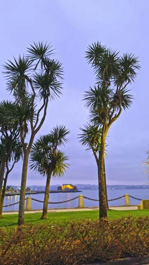 Twilight view of palm trees and castle by the water Stock Footage 277105582
