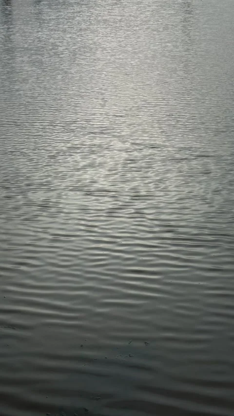 Twilight view of the water surface Stock Footage 269833529