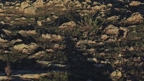 Twilight Volcanic Rock Texture Backward Diagonal 8K HLG Stock Footage 343799854
