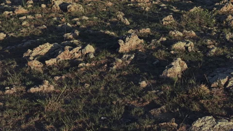 Twilight Volcanic Rock Texture Push In 4K HLG Stock Footage 343799933