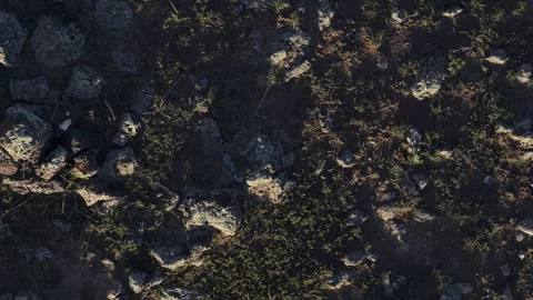 Twilight Volcanic Rock Texture Top Down Tracking Left 4K HLG Stock Footage 343802966