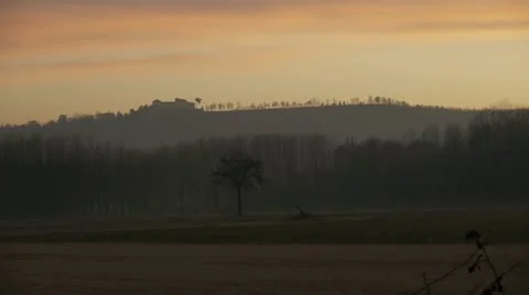 TWILIGHT_TREES Video stock 11132962