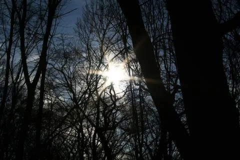 Twillignt in october Stock Photos