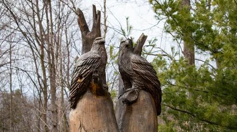 Twin Eagle Stock Photos