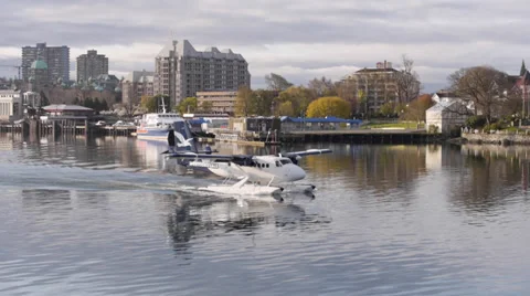 Twin Engine Float Plane Taxies in Victoria Harbor Stock Footage 38108743