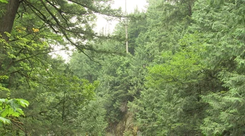 Twin Falls 08 Stock Footage 4875602