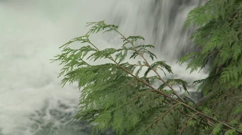 Twin Falls 09 Stock Footage 4876581