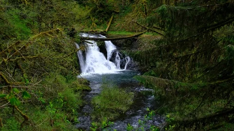 Twin Falls, Silver Falls State Park, Oregon Stock Footage 89783836