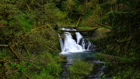 Twin Falls, Silver Falls State Park, Oregon Stock Footage 89783842