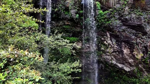 Twin Falls Springbrook National Park Queensland Australia 库存影片 326831765