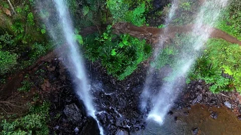 Twin Falls Springbrook National Park Queensland Australia Stock-Footage 326831771