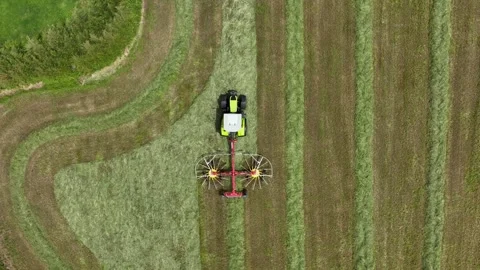 Twin rotor rake behind tractor making windrows in farm field, top down aerial Stock Footage 293275908
