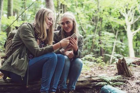 Twin sister in forest using tablet. Foto stock