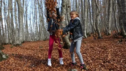 Twin sisters in forest throw dry autumn leaves Stock Footage 97444503