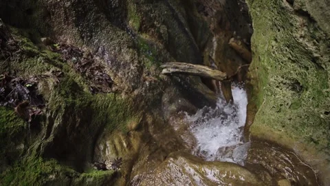 Twin Spring Streams Flowing From Moss Laden Rock Walls Stock Footage 310229438