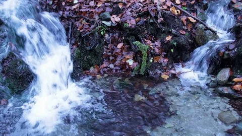 Twin Streams in November Stock Footage 82318008
