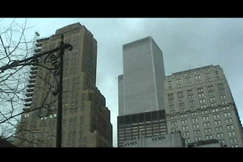 Twin Towers Stock Footage 437117