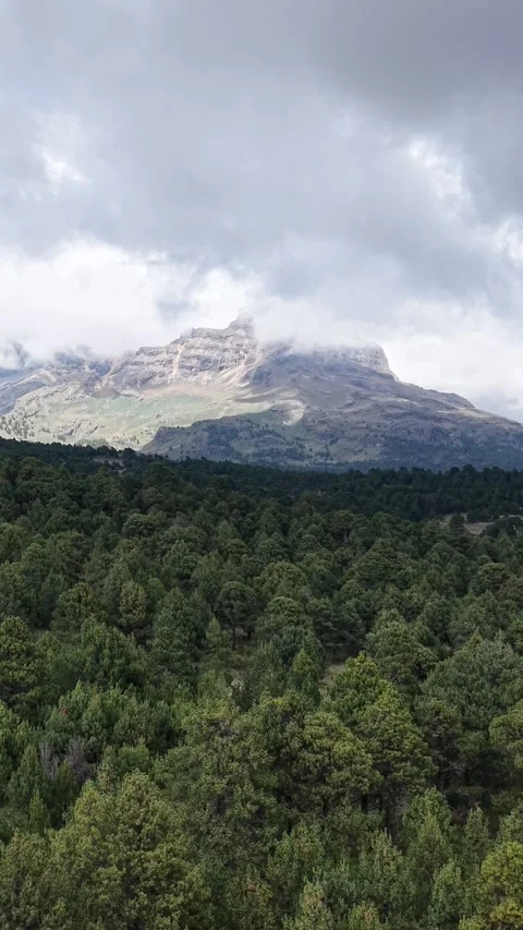 Twin volcanic peaks in clouds over forest, aerial view Mexico Stock Footage 348236490