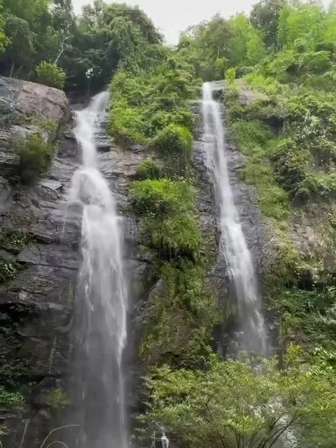 Twin Waterfalls Flowing Down a Green Rocky Cliff Video stock 341319133