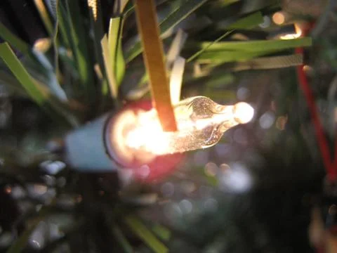 Twinkle Light Stock Photos